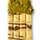 Chocolate branco